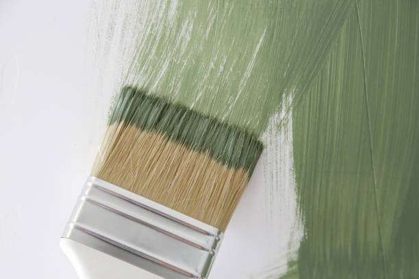 Grosse Pointe, MI Mold Removal Company