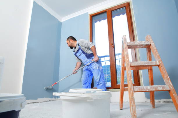 Best Emergency Mold Remediation  in Grosse Pointe, MI