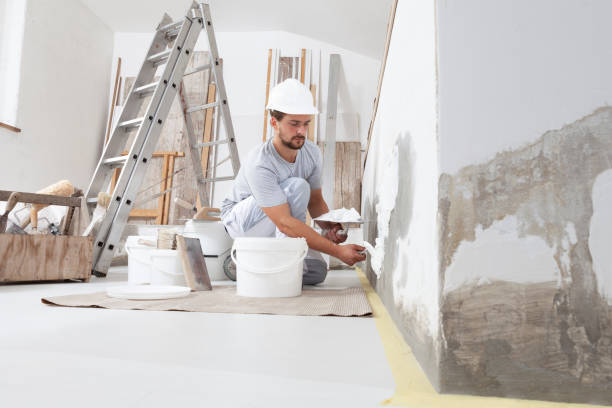 Best Commercial Mold Inspection  in Grosse Pointe, MI