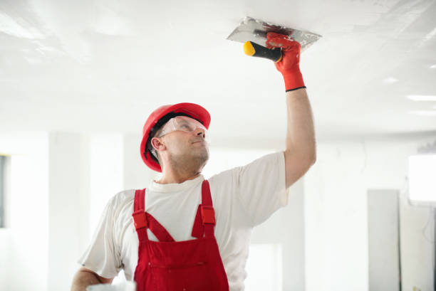 Best Mold Odor Removal Services  in Grosse Pointe, MI