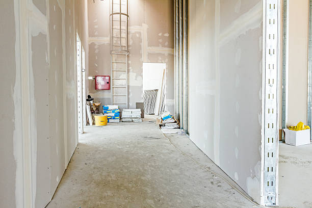 Best Emergency Mold Remediation  in Grosse Pointe, MI