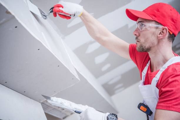 Forensic Mold Investigation in Grosse Pointe, MI